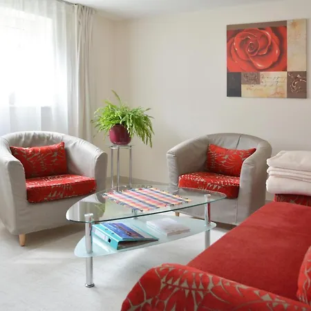 Ferienwohnung Gohrisch Apartment