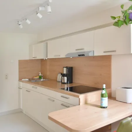 Ferienwohnung Gohrisch 公寓 卡劳特格瑞斯赫