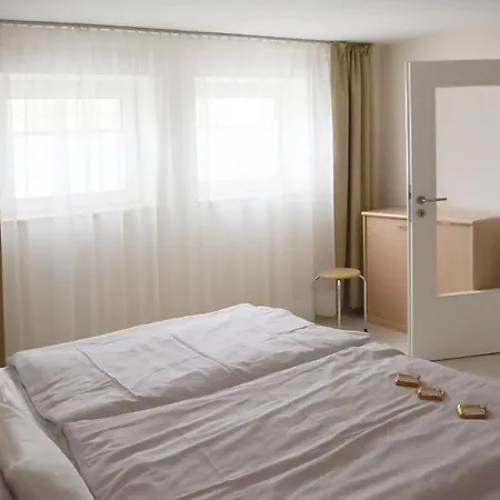 Ferienwohnung Gohrisch 公寓 *