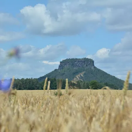 Апартаменты Ferienwohnung Gohrisch *