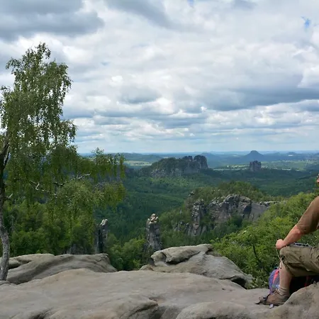 公寓 Ferienwohnung Gohrisch 卡劳特格瑞斯赫