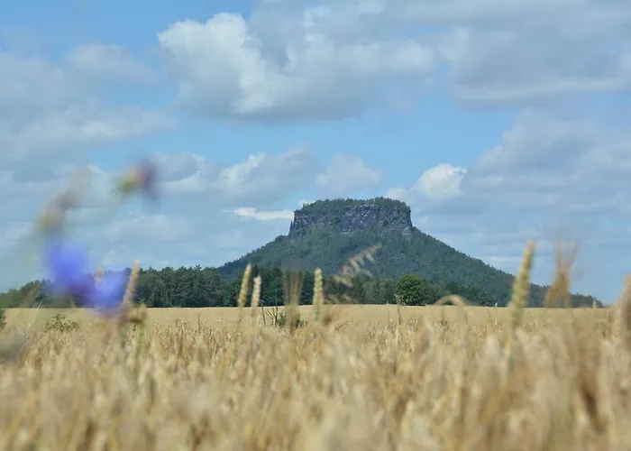 Apartman Ferienwohnung Gohrisch *