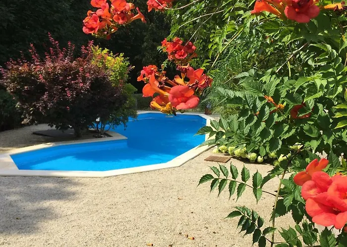 Ferienwohnung Gohrisch Gohrisch